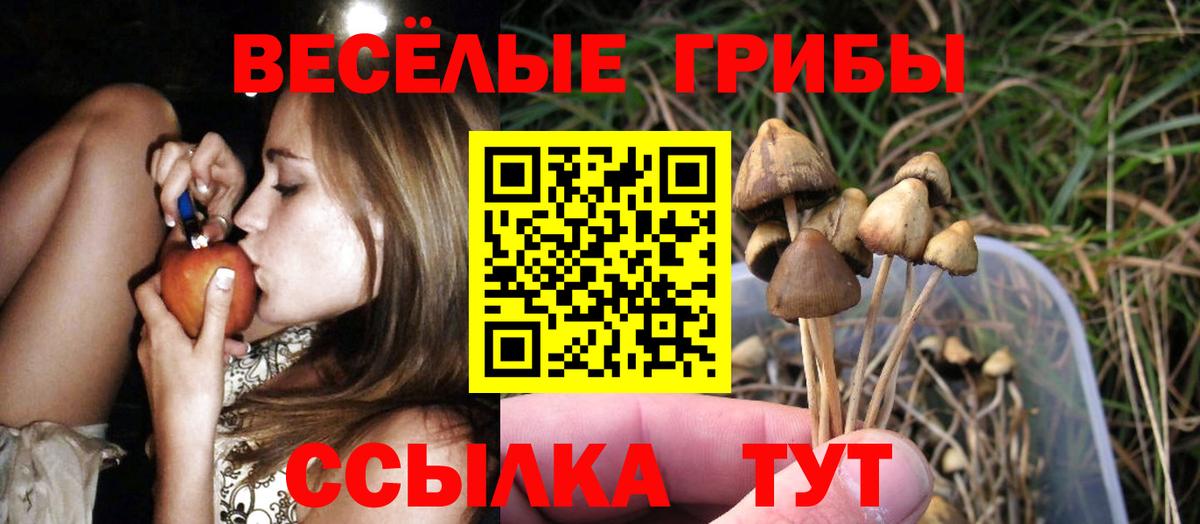 Псилоцибиновые грибы MAGIC MUSHROOMS  даркнет сайт  Вход с VPN  Аша  Псилоцибиновые грибы GOLDEN TEACHER 