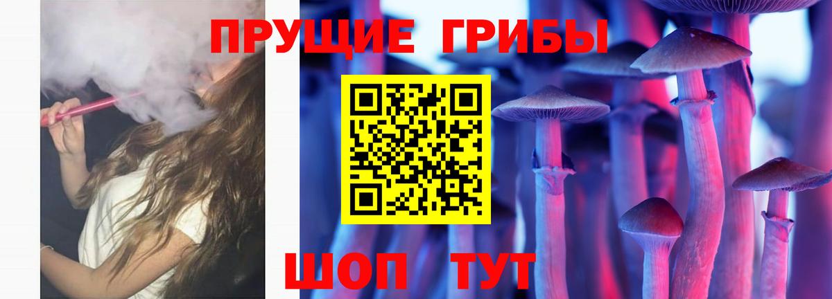 Галлюциногенные грибы Psilocybine cubensis Аша